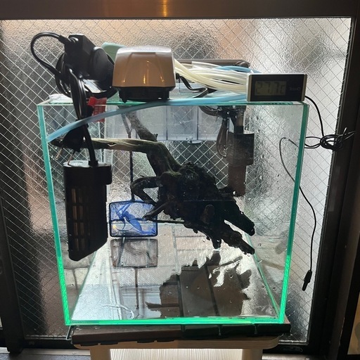 30cmキューブガラス水槽セット