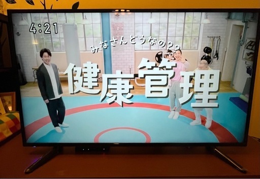 GREEN HOUSE 4K対応50V型液晶テレビ