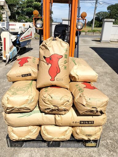 令和6年9月収穫 低農薬で育てた コシヒカリ100％ 新米 ３０ｋｇ １3０００円 精米、配達も可能です.