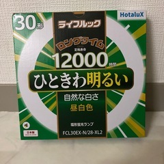 ソテツ、美形ソテツ。クレーンで植え込み費コミコミ価格(埼玉県)他県は配送費かかります。 ソテツ、美形ソテツ。クレーンで植え込み費コミコミ価格(埼玉県)他県は