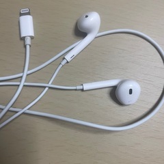 Apple ear Pods