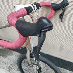 Progressive ミニベロロード 20インチ 451