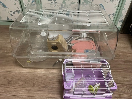 すぐにお迎えできる飼育セット