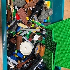 LEGO 大量