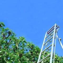 植栽の抜根伐採、雑草除去、大木の枝落としなら 【植栽伐採ヘ…