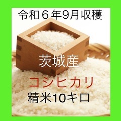 【令和６年】茨城県産コシヒカリ 10kg（精米）④