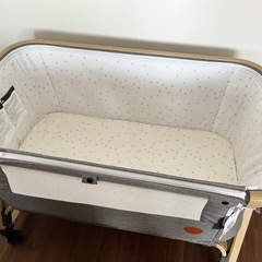 LaLa　抽選プレゼント　複製年賀状　津田雅美 LaLa抽選プレゼント複製年賀状津田雅美-早い者勝ち！ほぼ未使用ベビー