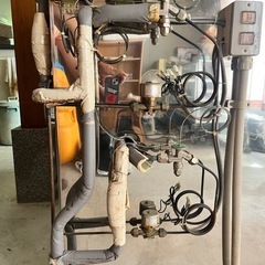 冷蔵の陳列(鮮魚)