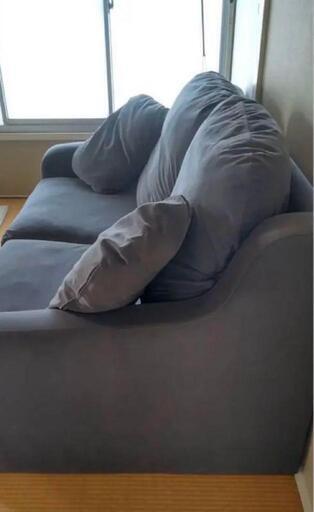 IKEA】VINLIDEN ヴィンリデン（2人掛けソファ）