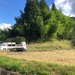 令和6年新米30kまとめ買い5袋！引取限定！丹波篠山産こしひかり！