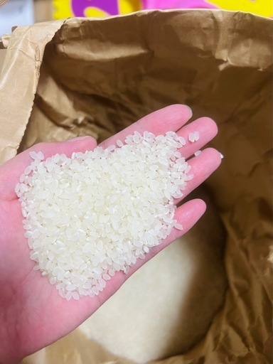 令和6年度米 新米　キヌヒカリ米 白米　精米済み　美味しい米　15キロ　6500円