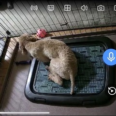 防犯　監視 カメラ　1TBHDD内蔵NVR本体と500万画素カメラ1台