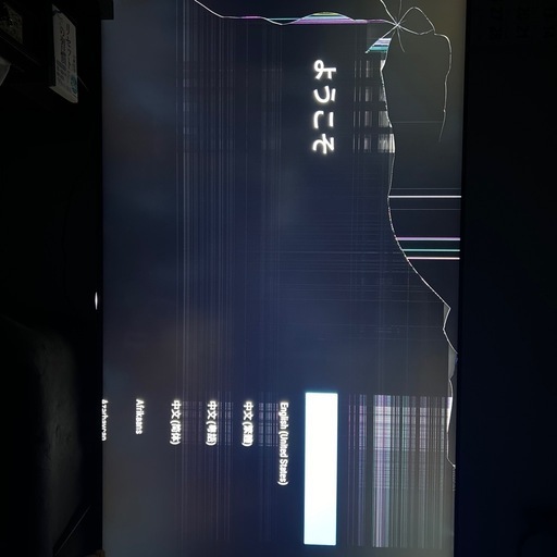 SONY4K液晶テレビBRABIA75型2019年製