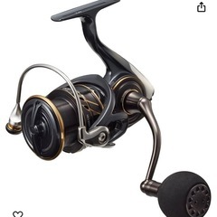 Daiwa  21
カルディアLT4000CXH