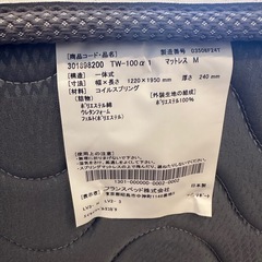 【フランスベッドマットレス付き】ACME Furniture