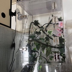 爬虫類、鳥類飼育セット