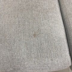 取りに来れる方限定！柏木工の3人掛けソファーです！