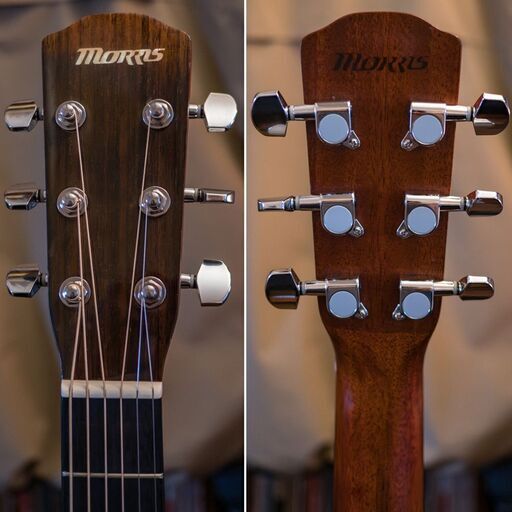 MORRIS F-12 2002年 単板トップ 鳴り◎ MORRIS F-12 2002年 単板トップ 鳴り◎