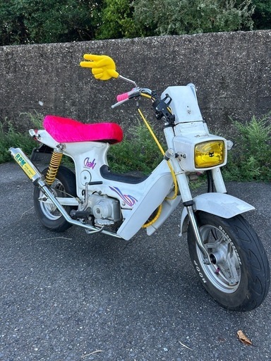 ①シャリー50  引取限定