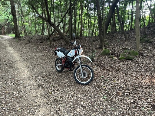 ホンダ CRM50