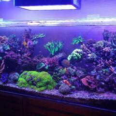 北海道のオーバーフローの中古が安い！激安で譲ります・無料であげます  