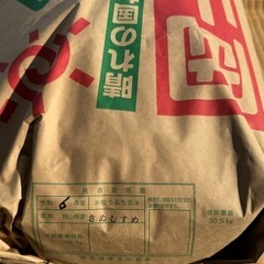 きぬむすめ 令和6年度産  玄米30kg