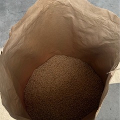 きぬむすめ 令和6年度産  玄米30kg