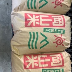 きぬむすめ 令和6年度産  玄米30kg