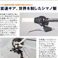 21Technologyクロスバイク　マットブラック　中古美品