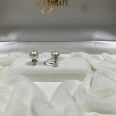 最終値下⭐︎真珠ネックレスイヤリングセット