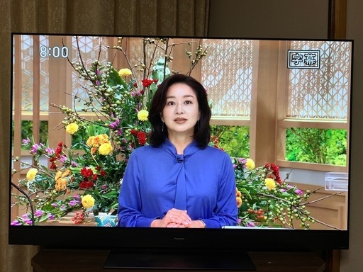 ４K有機ELテレビ55型 パナソニック　ビエラ　TH-55GZ2000