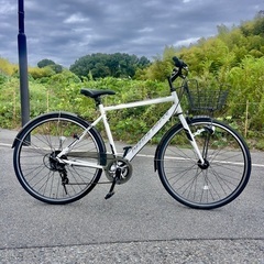 美品！通勤自転車OFFICE PRESS TR　530mm (~185cm)