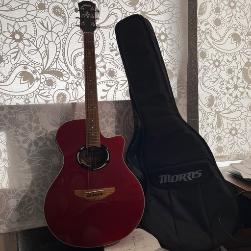 ヤマハ　エレアコ　YAMAHA APX 500II FERNANDES ミニアンプ FS-10 セット　弦張り替え済み