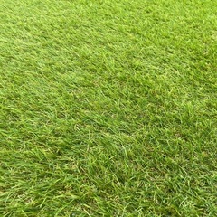 新品人工芝 1×10メートル