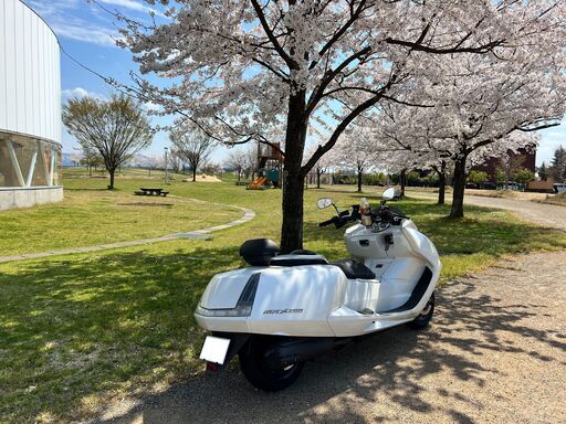 【低走行】YAMAHA MAXAM SG21J 白