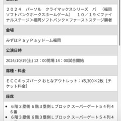 10/19 CSチケット ECCキッズパーク大人2枚