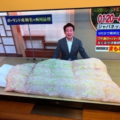 Panasonic 65インチ 4K有機ELテレビ 高画質 高音質