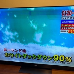Panasonic 65インチ 4K有機ELテレビ 高画質 高音質