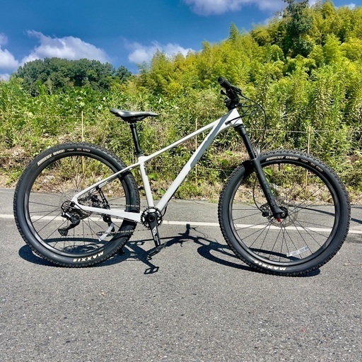 美品！2021年　GIANT FATHOM2 マットコンクリート　SIZE380（S）適応身長 (cm)165〜180