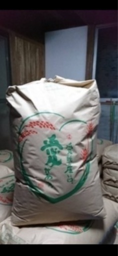 ②令和6年度 愛媛県産ヒノヒカリ (玄米 30kg)