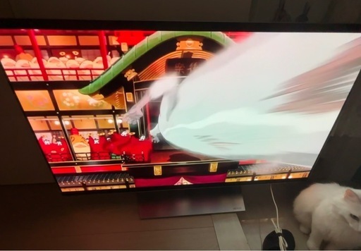 LG 55インチ有機EL 4K液晶テレビ