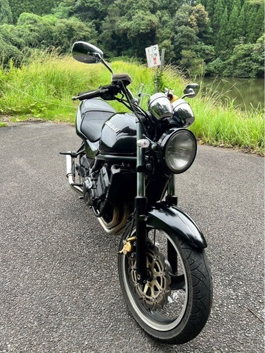 バリオス1型