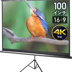 未開封：プロジェクター用スクリーン100インチ