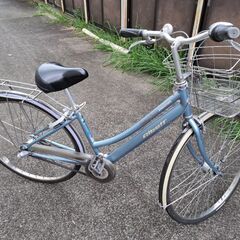 アルベルト自転車