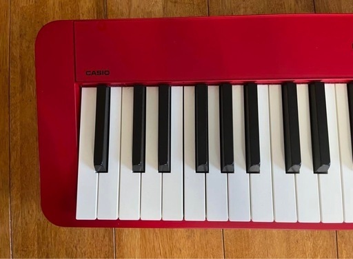 CASIO PRIVIA PX-s1000 Casio Privia PX-S1000 - Demo with Rich Formidoni