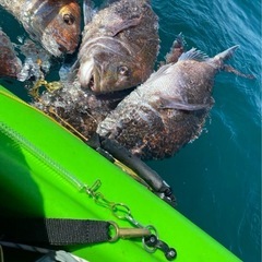 フィッシングカヤック　270cm