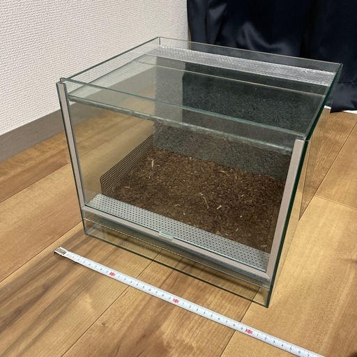 水槽　テラリウム　観葉植物