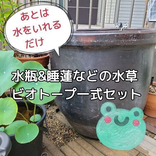【高級品★重厚感ある水瓶\u0026ビオトープセット】睡蓮などの水草ビオトープセット付き(*^^*)水漏れなし!メダカビオトープに現役使用⭐アンティーク　レトロ