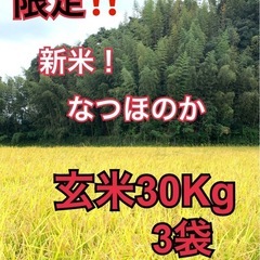 ヒノヒカリ玄米30kg R4年度 (PLAN818) 国東の食品の中古あげます・譲ります｜ジモティーで不用品の処分