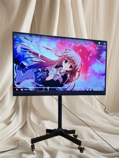 49インチ テレビ